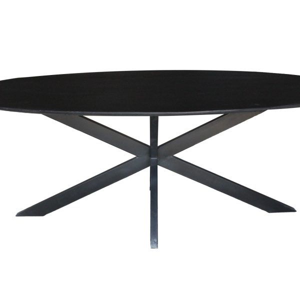 Oslo Black Oval 210 cm