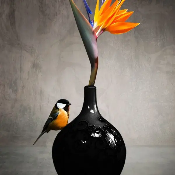 Glasschilderij 80x120cm Bird