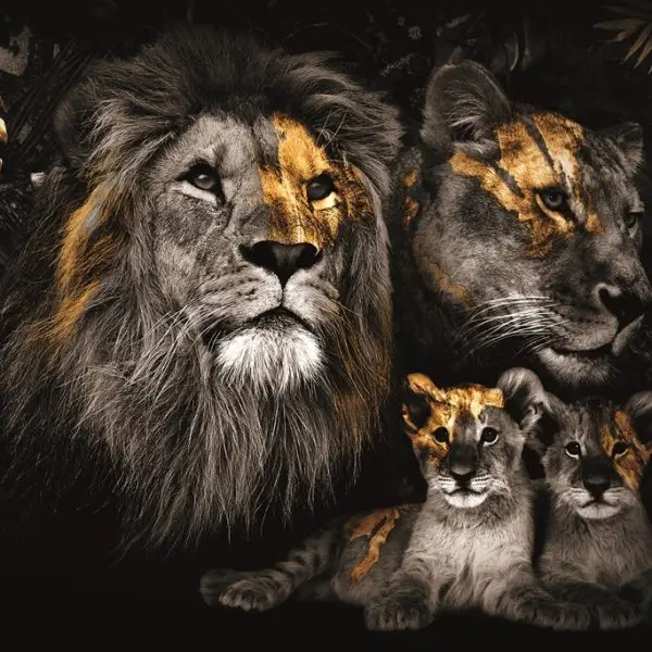 Glasschilderij 160x110cm Leeuwenfamilie met 2 welpjes