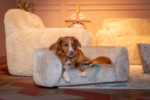 S4901_CLAY_CHENILLE+1-setting.jpg